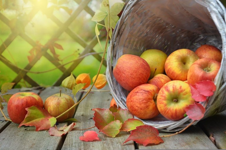 Apple Festival 2022