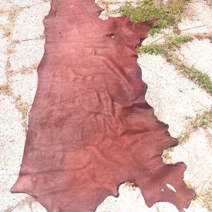 Raw bison hide leather on ground for crafting or tanning.