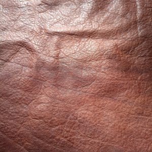 Bison-Hide-Front