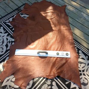 Bison Hide